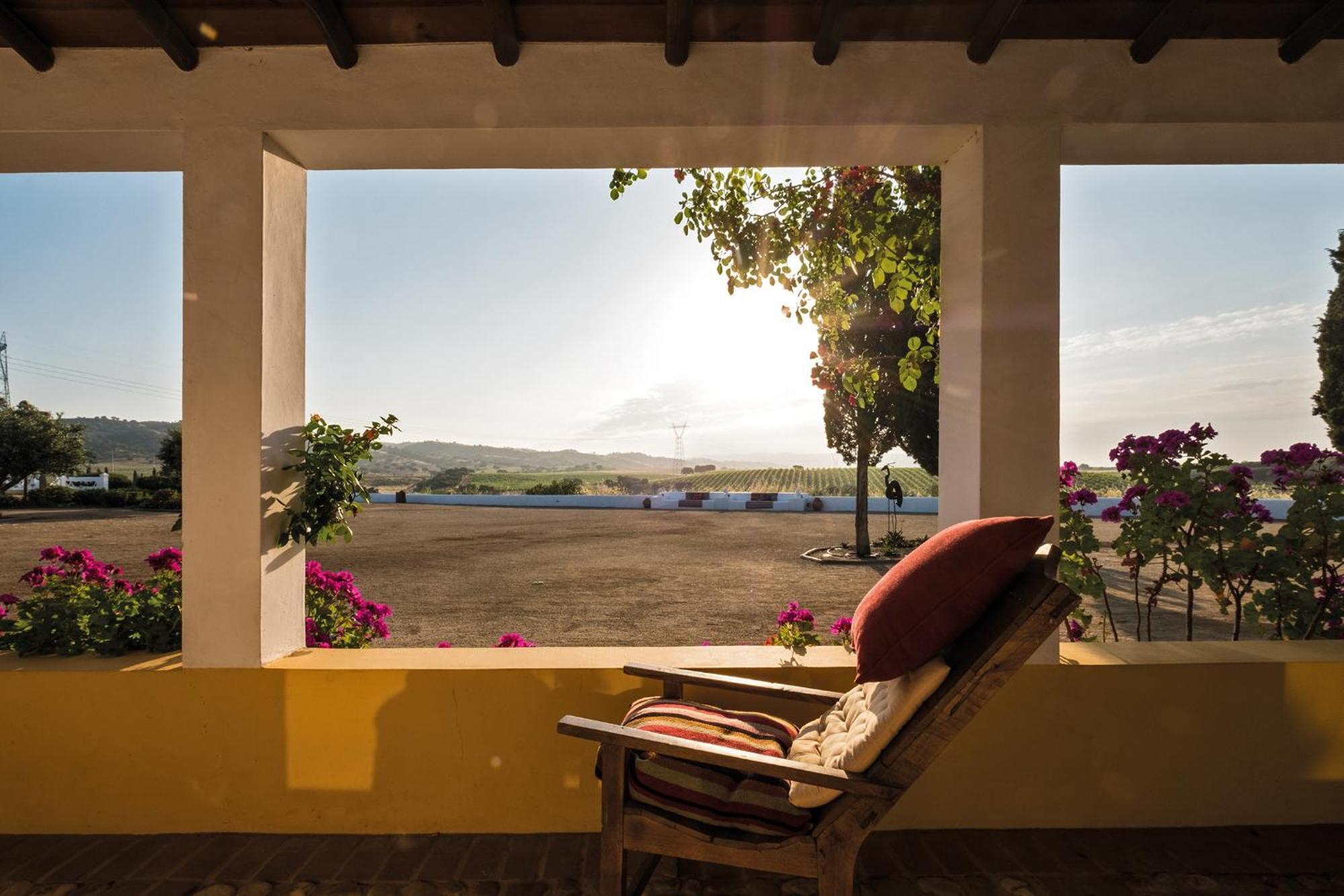 Herdade Do Sobroso Wine & Luxury Boutique Hotel Pedrogao  Exteriör bild