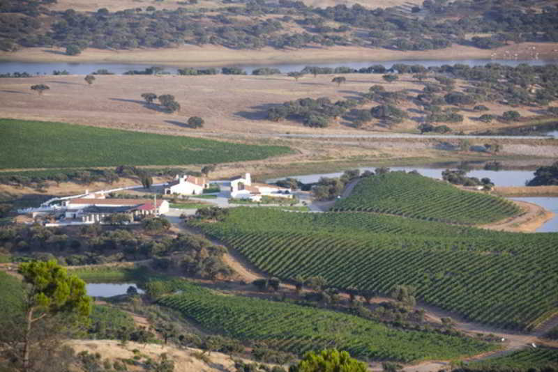 Herdade Do Sobroso Wine & Luxury Boutique Hotel Pedrogao  Exteriör bild